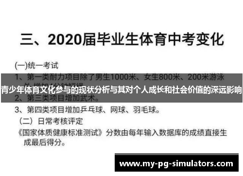 青少年体育文化参与的现状分析与其对个人成长和社会价值的深远影响