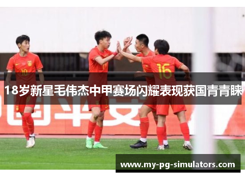 18岁新星毛伟杰中甲赛场闪耀表现获国青青睐